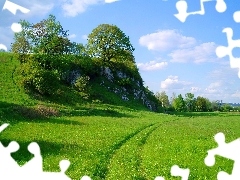 Łąka, Chmury, Las