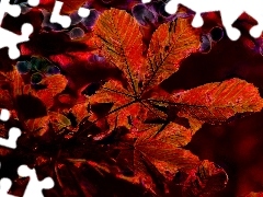 Liście, Fractalius, Czerwone