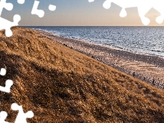 Trawa, Deptak, Morze, Plaża