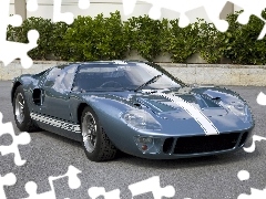 Ford GT, Szary, Samochód