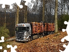 Scania, Drewno, Las