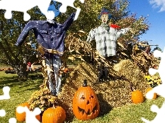 Na, Strachy, Halloween, Wróble, Dynie