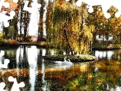 Łabędzie, Poranek, Park