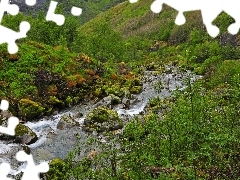 Krzewy, Kamienie, Górska, Rzeczka