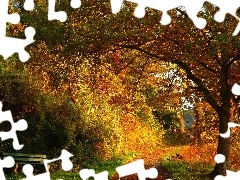 Ławka, Ścieżka, Park, Drzewa