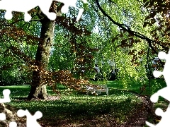 Alejka, Ławka, Park