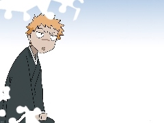 Ichigo, Bleach, Kurosaki