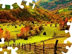 Trawa, Płot, Drzewa
