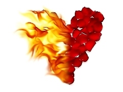 Róż, Płatki, Serce, Ogień