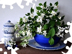 Jaśminu, Porcelana, Gałązki