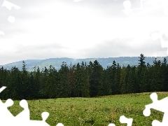 Polana, Gubałówka