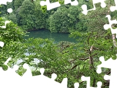 Wiosna, Drzewa, Jezioro