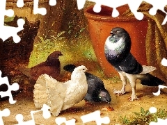 
, Edgar Hunt, Gołębie, Donice
