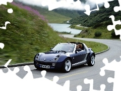 Ulica, Smart Roadster