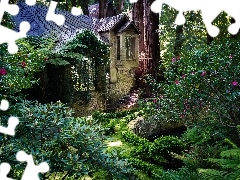 Domek, Mały, Las, Ogródek