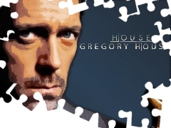 Gregory House, Dr. House