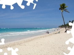 Woda, Piasek, Punta Cana, Palma, Dominikana