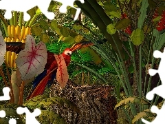 Dżungla, 3D, Tropikalna