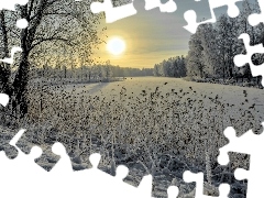 Słońca, Drzewa, Zachód, Rzeka, Zima, Trawy