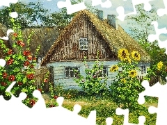 Kwiaty, Ogród, Wiejski, Dom