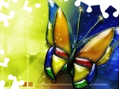 Motyl, Kolorowy