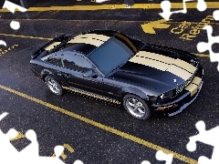 Namalowane, Pasy, Ford Mustang Shelby