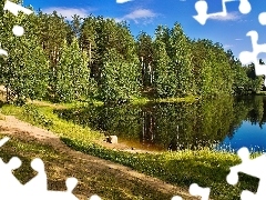 Las, Ścieżka, Jezioro