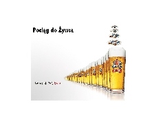 Piwo Żywiec, pokale, Piwo