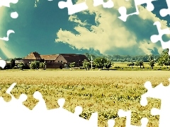 Pola, Gospodarstwo, Dom, Chmury, Drzewa