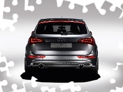 Audi Q5, Concept, Tył
