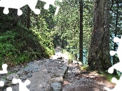 Ścieżka, Góry