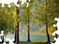 Drzewa, Góra, Jezioro