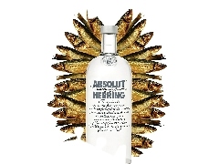 Herring, Absolut