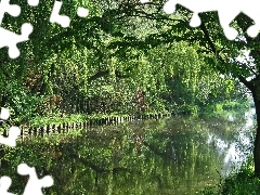 Drzewa, Rzeka