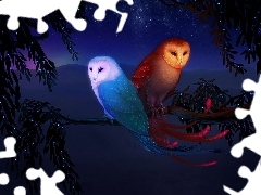 Sowy, Noc