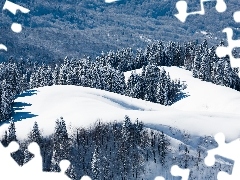Śnieg, Świerki, Góry