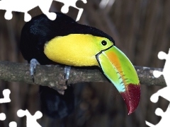 Tukan