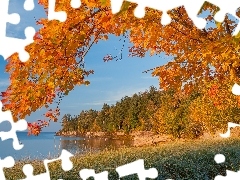 Jezioro, Drzewa, Jesień