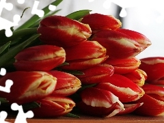 Tulipany