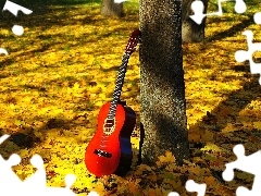 Jesień, Liście, Gitara, Las