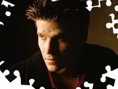 Aktor, David Boreanaz