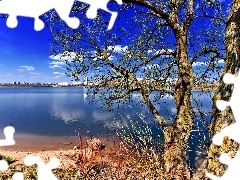 Drzewo, Niebo, Jezioro