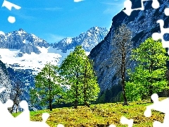 Polana, Drzewa, Góry