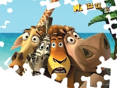 Lew, Zebra, Madagaskar, Hipopotan, Żyrafa