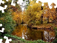Rzeka, Drzewa, Jesień