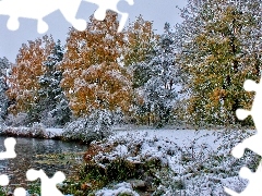 Jezioro, Drzewa, Zima