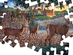 Zarośla, Jeleń