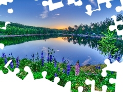 Łubiny, Jezioro