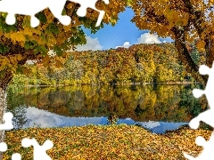 Liście, Lasy, Jezioro, Jesień, Góry