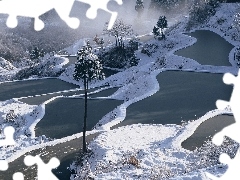 Zima, Śnieg, Las, Drzewa